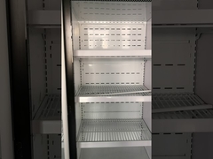 Carel Thermostat Commercial Upright Freezer For Frozen Food