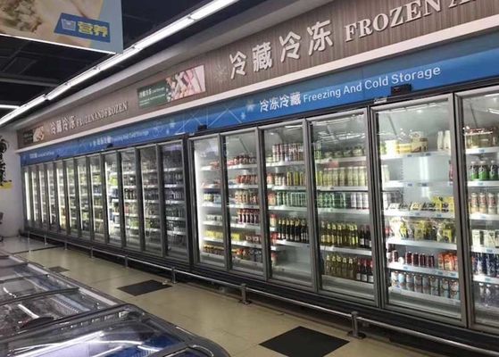 Carel Thermostat Commercial Upright Freezer για τα παγωμένα τρόφιμα